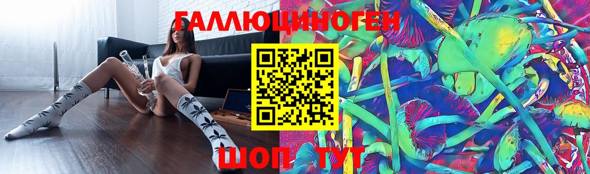 Псилоцибиновые грибы Psilocybe Лабытнанги