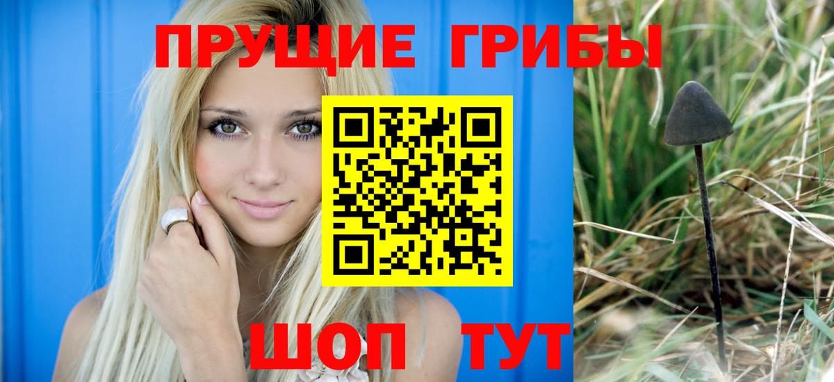 Псилоцибиновые грибы Magic Shrooms  Вход с VPN  Лабытнанги 