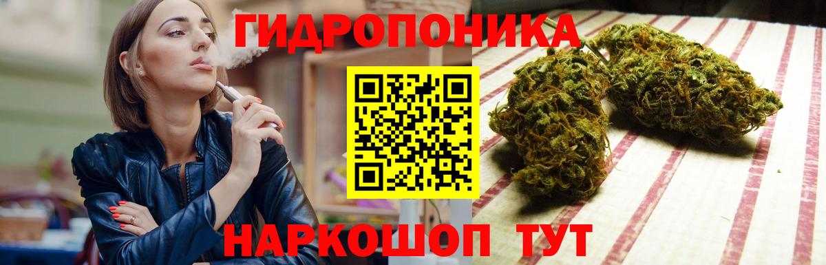 Каннабис MAZAR Лабытнанги